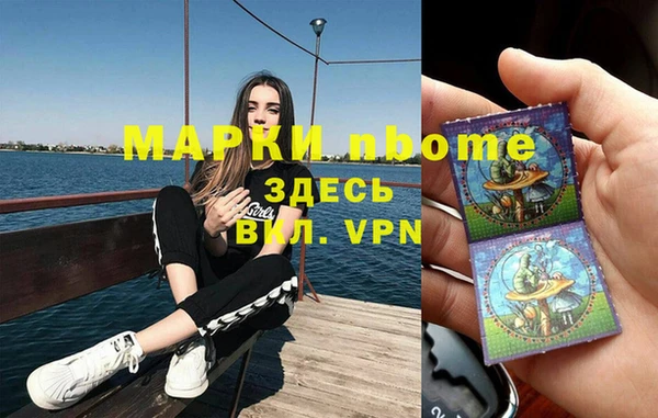 индика Волоколамск