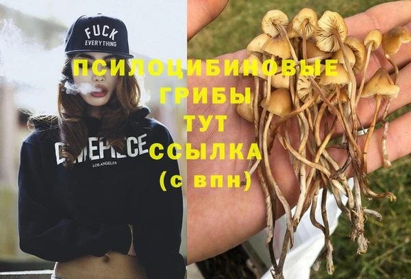 метамфетамин Горняк